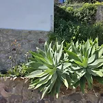 Margot - Authentic Seaview Countryside & Appartement *